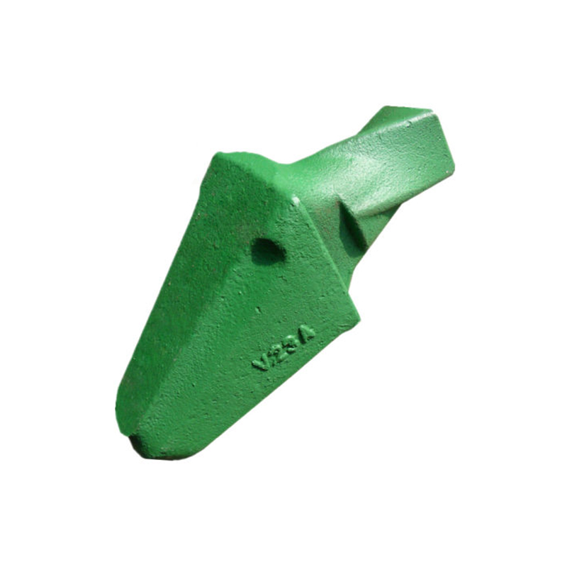Situla mittentes adaptors ad Situla dentium